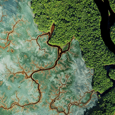 VITO Remote Sensing Environment 